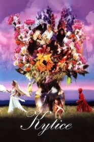 Wild Flowers 2000 one on netflix
