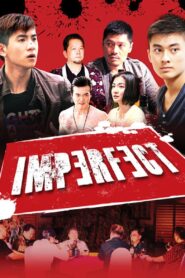 Imperfect 2012 one on netflix