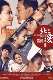 Beijing Love Story 2014 one on netflix