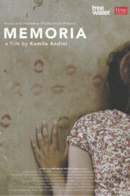 Memoria 2016 one on netflix