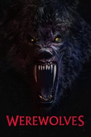 Werewolves 2024 one on netflix