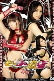 Sailor Ninja Part 1 2008 one on netflix