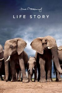 Life Story 2014 on Online Series