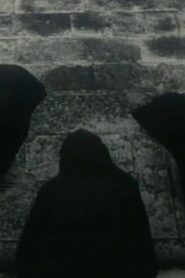 Sunt lacrimae rerum 1965 one on netflix