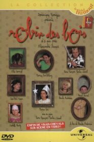 Robin des Bois d’à peu près Alexandre Dumas 1996 one on netflix