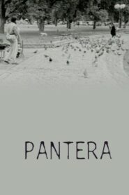 Pantera 1998 one on netflix