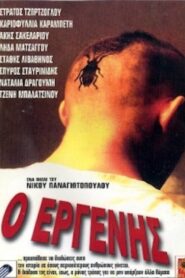 The Bachelor 1997 one on netflix