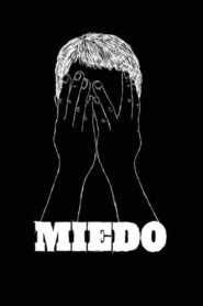 Miedo 2010 one on netflix
