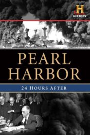Pearl Harbor: 24 Hours After 2011 one on netflix
