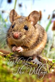 Wild Tales From The Village 2016 one on netflix