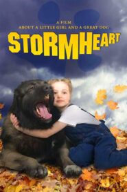 Stormheart 2008 one on netflix