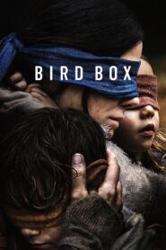 Bird Box 2018 one on netflix