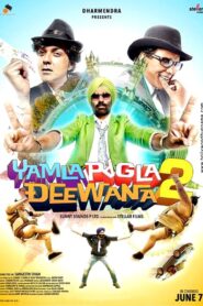 Yamla Pagla Deewana 2 2013 one on netflix