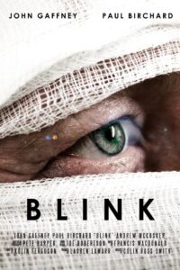 Blink 2013 one on netflix