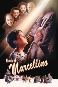 Miracle of Marcellino 1991 one on netflix