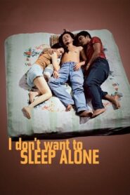 I Don’t Want to Sleep Alone 2006 one on netflix