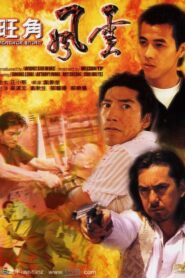 Mongkok Story 1996 one on netflix