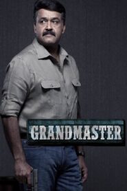 Grandmaster 2012 one on netflix