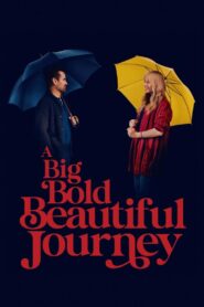 A Big Bold Beautiful Journey 2025 one on netflix