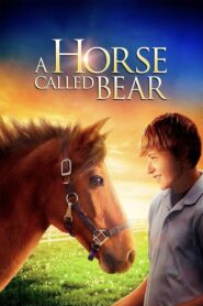 A Horse Called Bear 2015 one on netflix