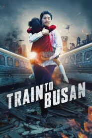 Train to Busan 2016 one on netflix