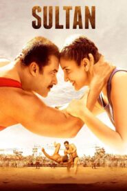 Sultan 2016 one on netflix