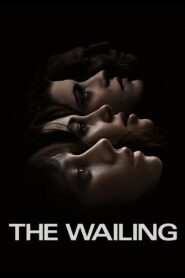 The Wailing 2024 one on netflix