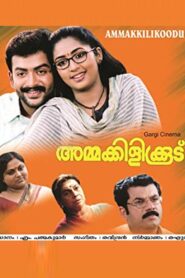 Ammakilikkoodu 2003 one on netflix