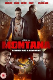 Montana 2014 one on netflix