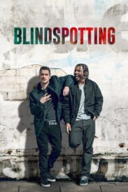 Blindspotting 2018 one on netflix