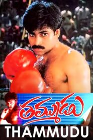 Thammudu 1999 one on netflix