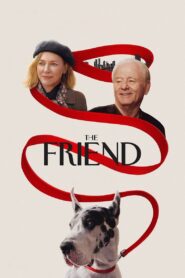 The Friend 2025 one on netflix