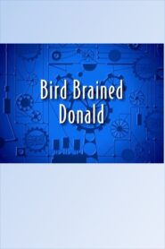 Bird Brained Donald 2000 one on netflix