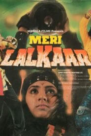 Meri Lalkaar 1990 one on netflix