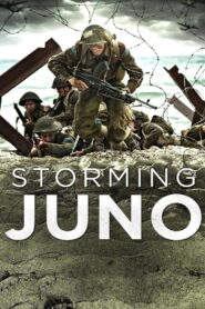 Storming Juno 2010 one on netflix