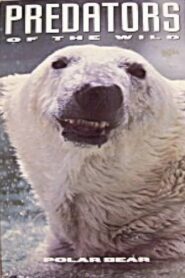 Predators of the Wild: Polar Bear 1993 one on netflix