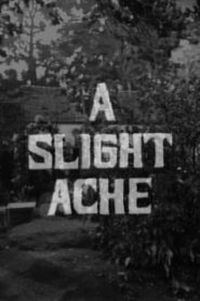 A Slight Ache 1967 one on netflix