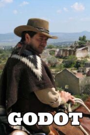Godot 2005 one on netflix