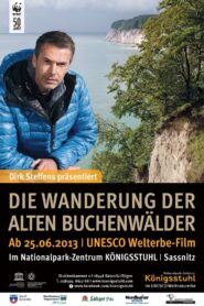 The Hike Through the Ancient Beech Forests – UNESCO World Heritage since 2011 2013 one on netflix