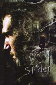 Spider 2002 one on netflix